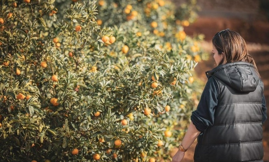 Image 3: Elabora tu propio vermut y visita un lugar emblemático para 1, 2 o 4 