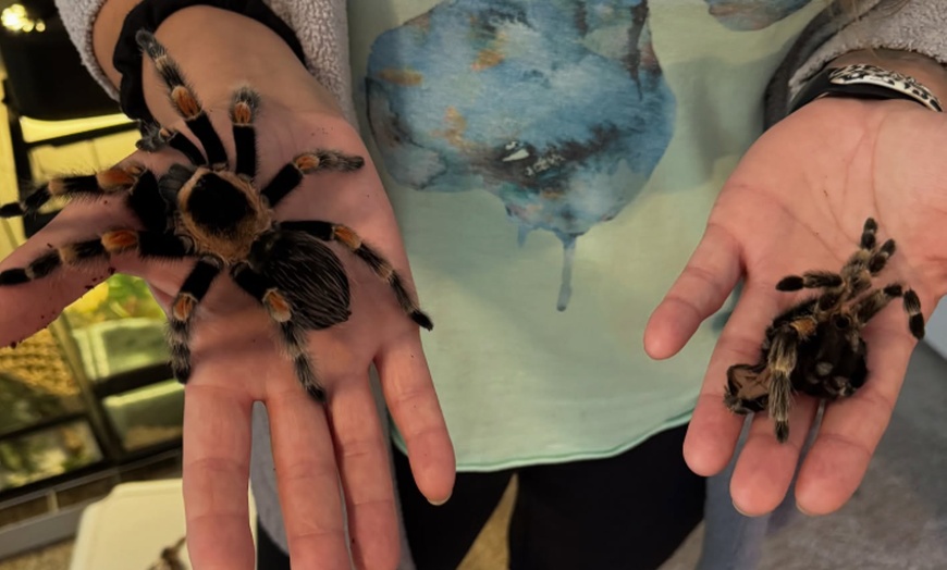 Image 19: Exclusive Wildlife Adventure: VIP Sunset Tour & Exotic Animal Feeding 