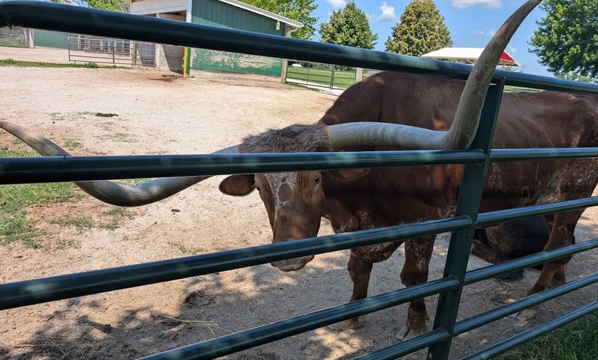 Image 7: Enjoy Family-Friendly Green Meadows Petting Farm in Milwaukee Area