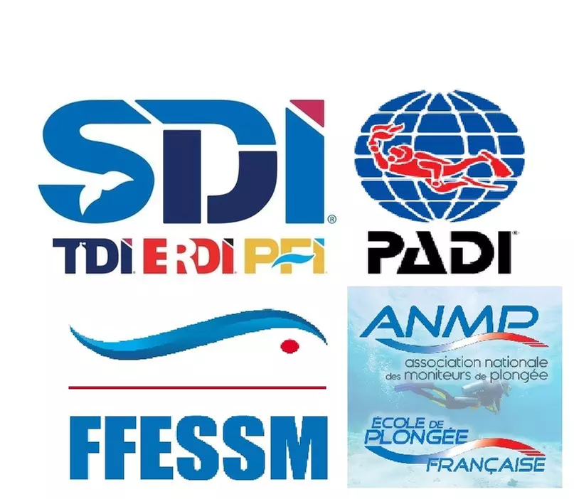 Jusqu'à 16% de remise sur Certification - SCUBA / PADI chez Aqua Evasion