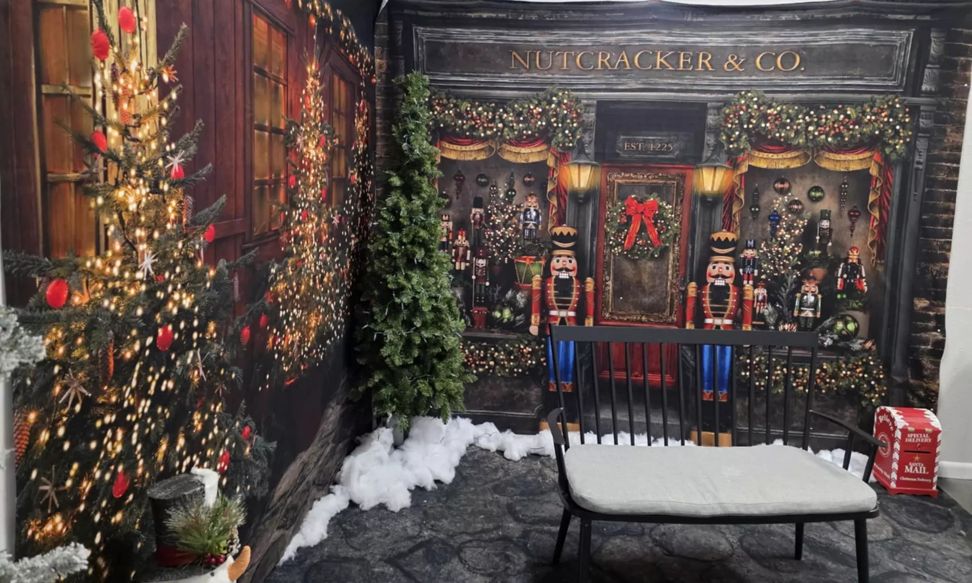 Christmas Mini Session & 7 Edited Images & Print Release