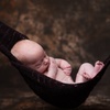 Image 4: Cherish with Newborn or Baby, Family Photo shoot, Maternity & More