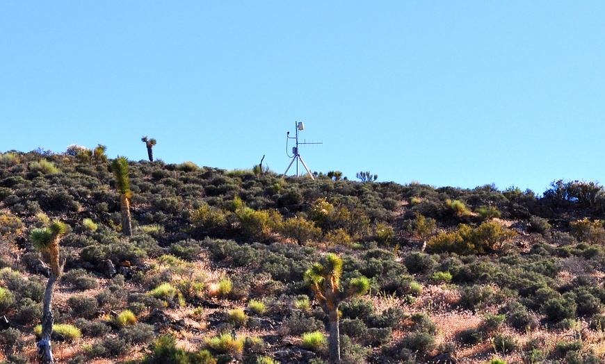 Image 3: Bus Tour from Las Vegas with Adventure Photo Tours | Show Option