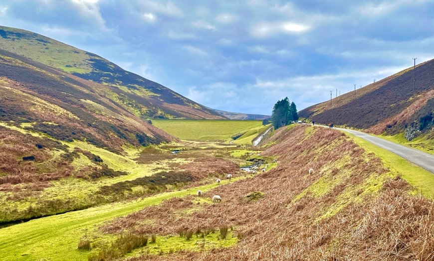 Image 2: Up to 30% Off on Bicycle - Mountain Biking (Activity / Experience) at Pentland Cycle Hire