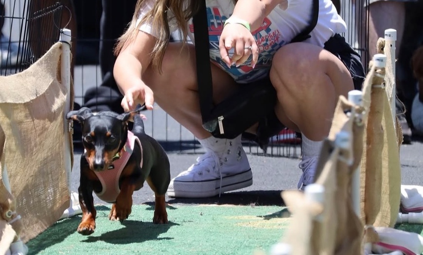 Image 4: Pet Expo Rescue Benefit – Up to 50% Off