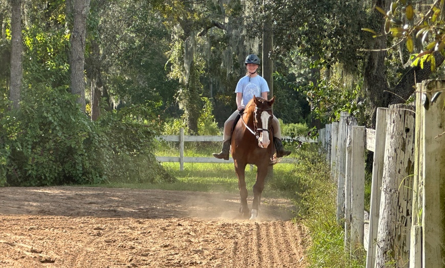 Image 2: Try Horseback Riding with a 30-Minute Intro Lesson