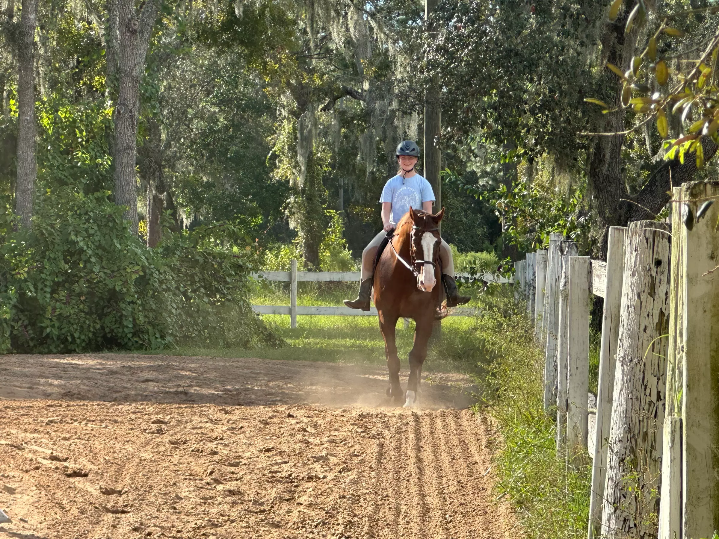 Try Horseback Riding with a 30-Minute Intro Lesson