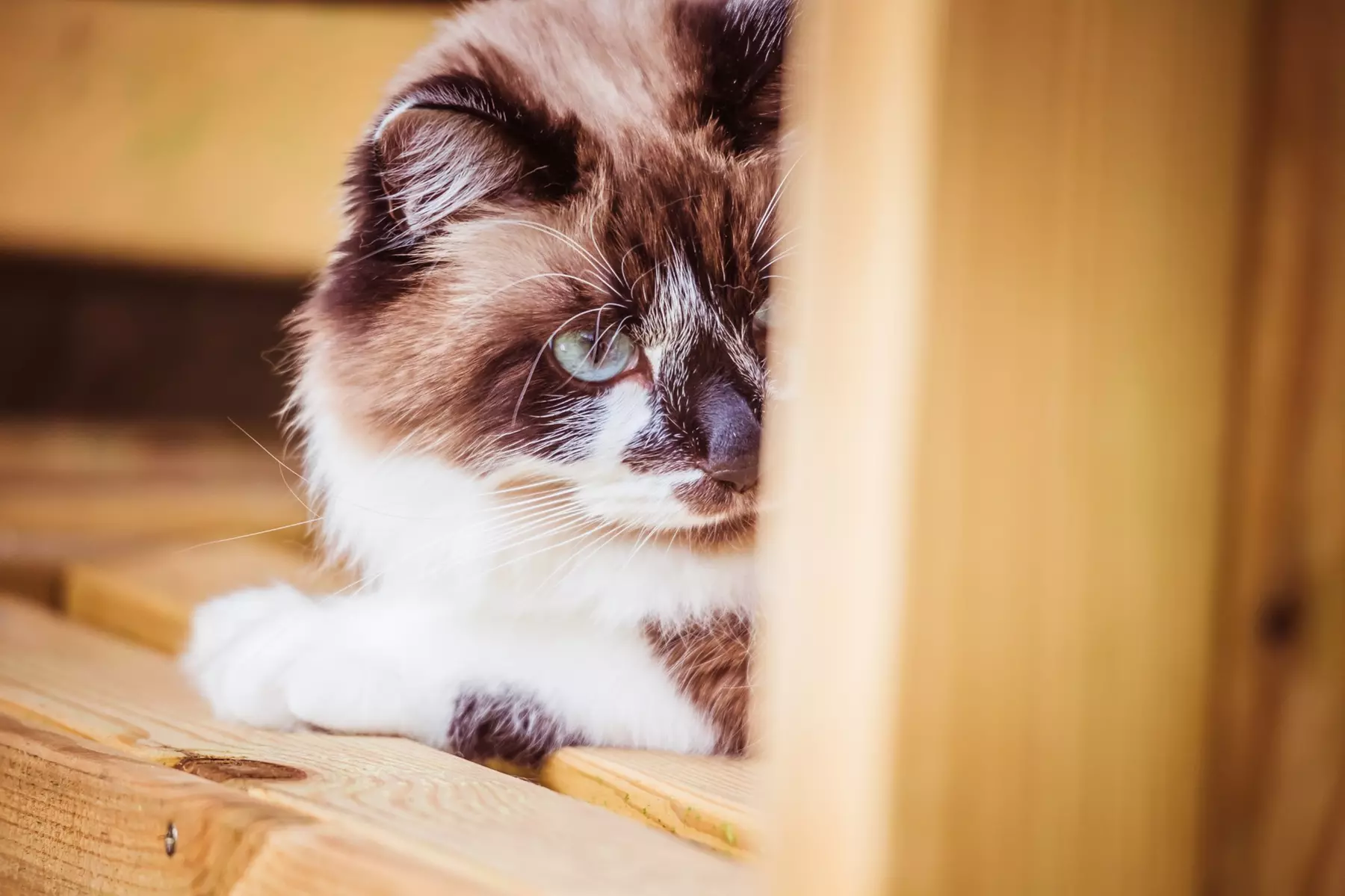 Up to 95% Off on Outdoor Photography at Lenscraft Photography