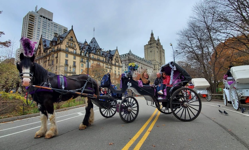 Image 10: Discover NYC Fancy Rides' enchanting 45-minute Central Park horse carriage tour, offering up to 24% off for a nostalgic journey.