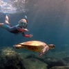 Image 8: Up to 62% Off on Unforgettable Snorkel Adventure