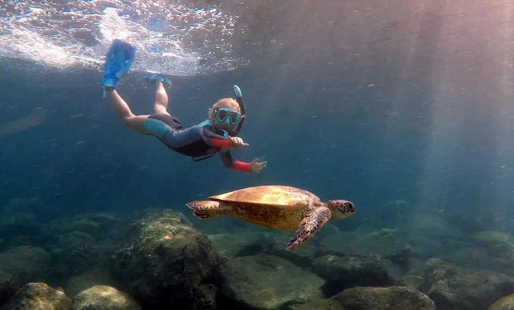 Gather Your Group for a Snorkel Adventure for 2, 4 or 6 People