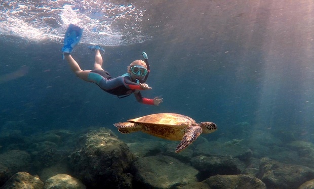 What to expect media