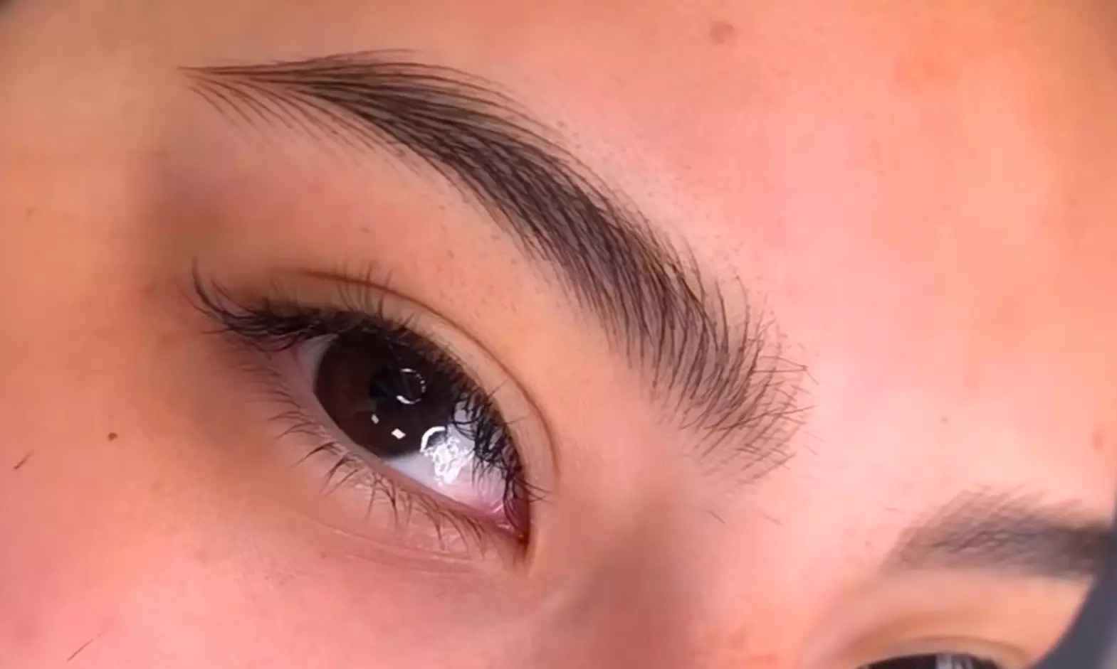 Get a Fresh Look Wild Eyebrow Embroidery