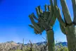 Southwest Discoveries: Experience Stunning Sonoran Desert Guided Tour for 1, 2, or 4 (Up to 55% Off) - Second Medium