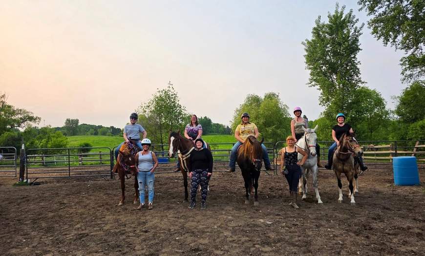 Image 3: Explore Private Horseback Riding Lessons for All Levels