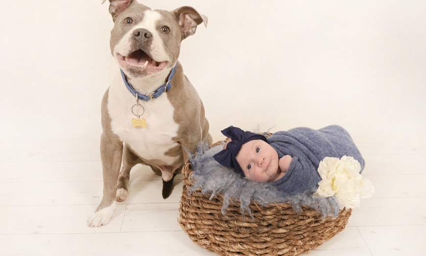 Image 9: Up to 90% Off on Studio Photography at In The Picture 2