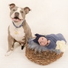 Image 9: Up to 90% Off on Studio Photography at In The Picture 2