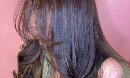 Haircut with Shampoo (No Blowout) - Silk Plus Gloss Beauty Bar