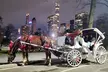 Central Park Horse Carriage Tour – NYC - Second Medium