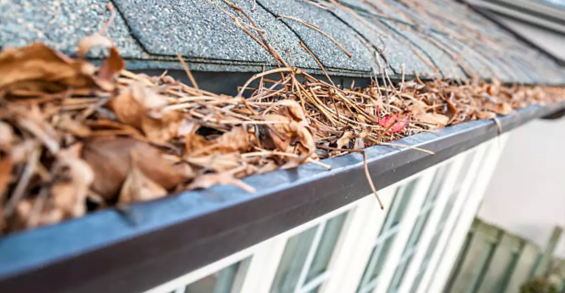 Up to 40% Off on Gutter Cleaning at Zippy Clean - Primary Image