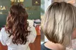 Transform with Haircut and Highlights w/ Deep Condition and Blowout at Beauty Temple (Up to 65% Off) - Second Medium