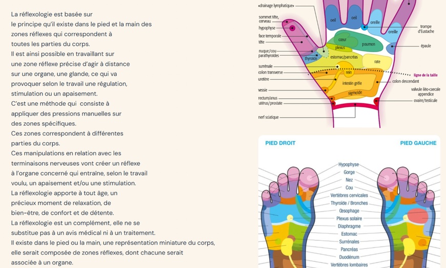 Image 1: Séance de réflexologie plantaire ou palmaire et faciale