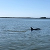 Image 2: Thrilling Jet Ski Rentals & Relaxing Beach Day Packages