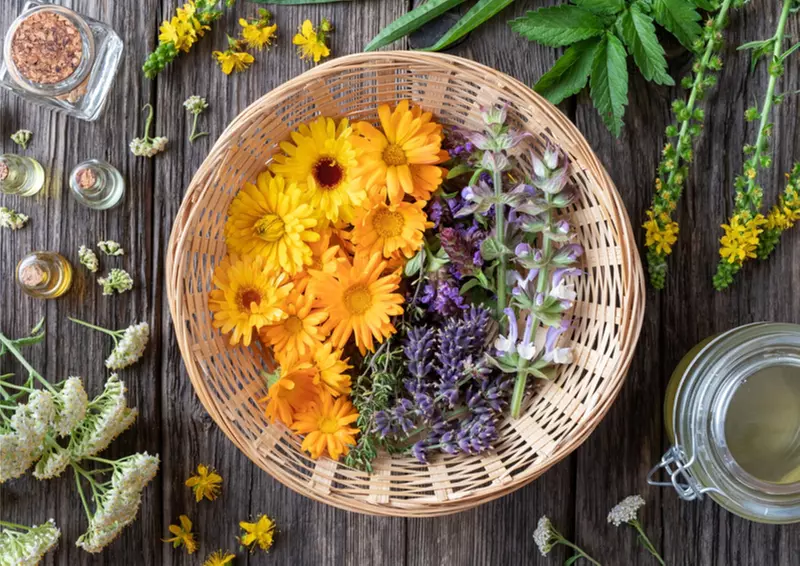 Taller de elaboración de pan, jabones, cestería, plantas o setas