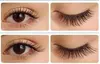 Get a Full Set of Classic or True Volume or Hybrid Eyelash Extensions at Dollface Lash Studio (Up to 63% Off)