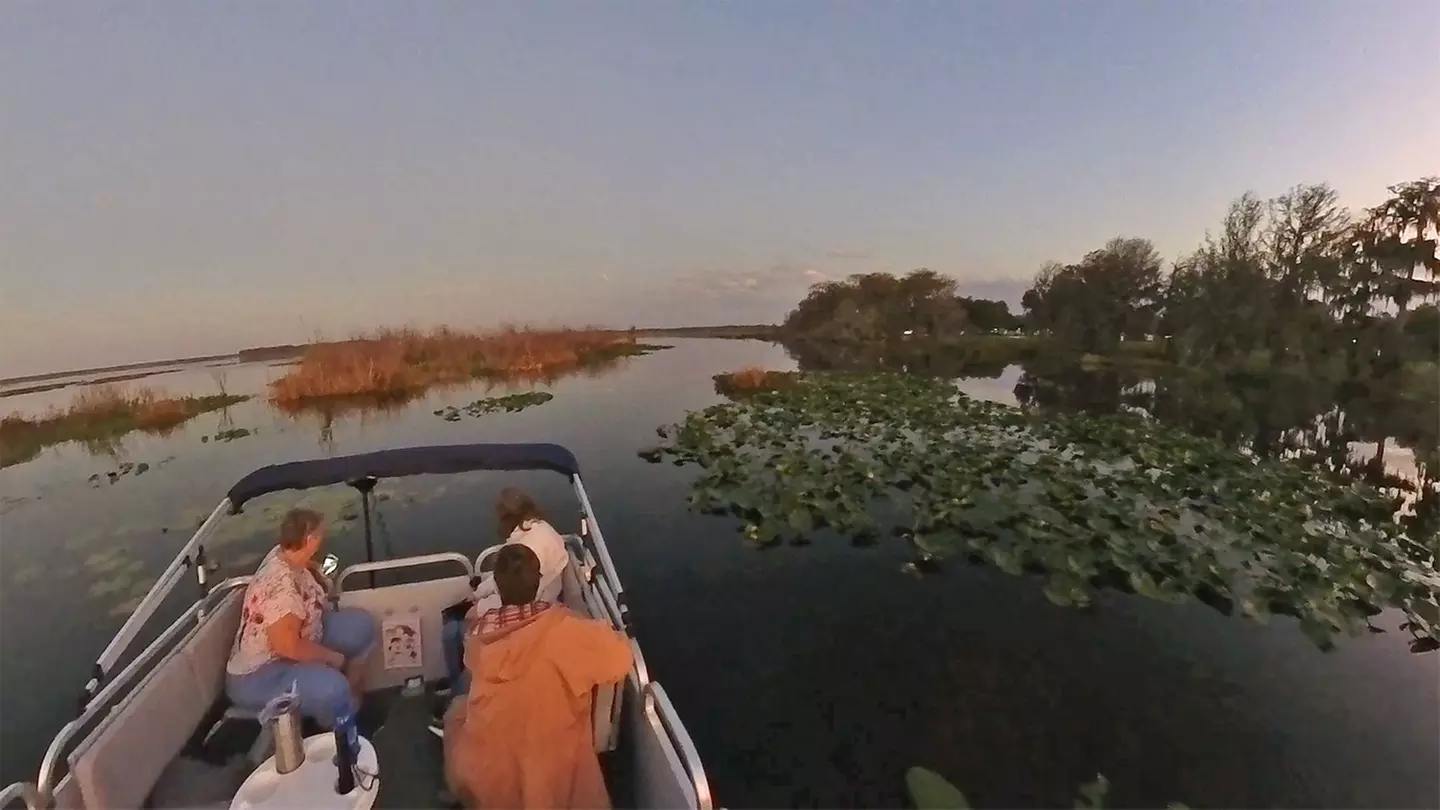 Up to 40% Off on Boat Tour at Shoreline Creatures