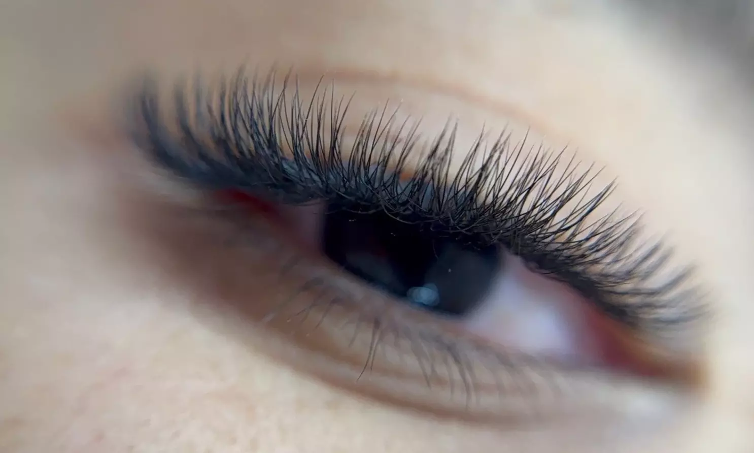 Get a Full Set of Lash Extensions with Optional Eyebrow Shaping