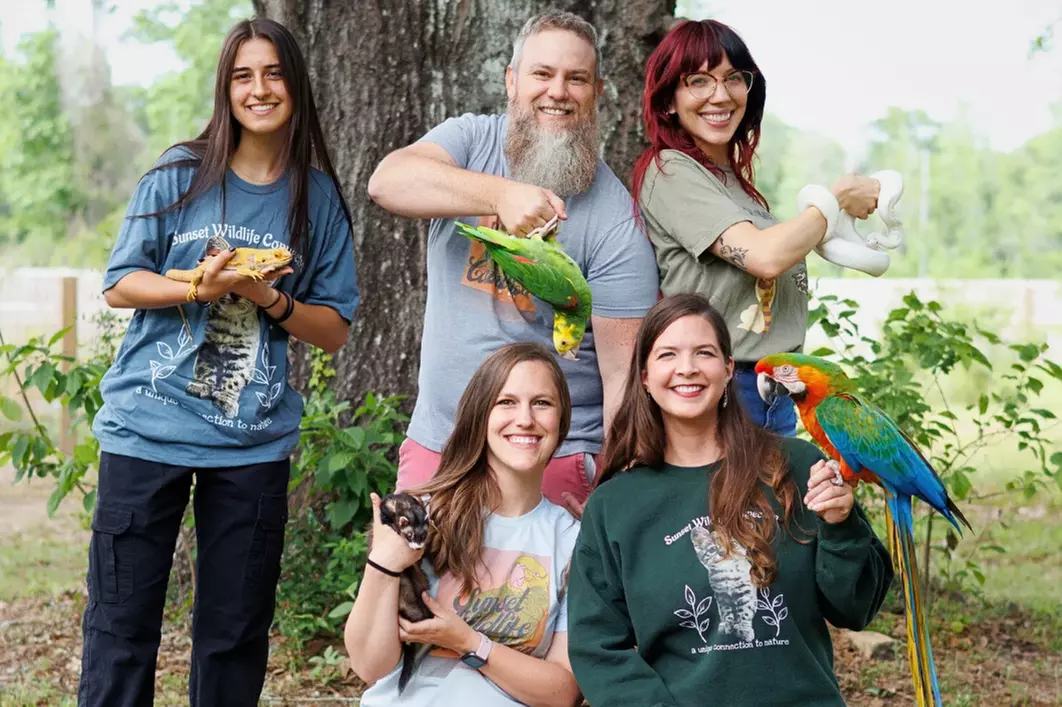 Exclusive Wildlife Adventure: VIP Sunset Tour & Exotic Animal Feeding