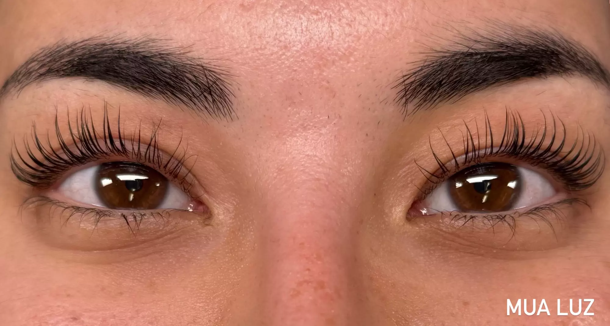 Up to 50% Off on Eyelash Tinting at MUA LUZ