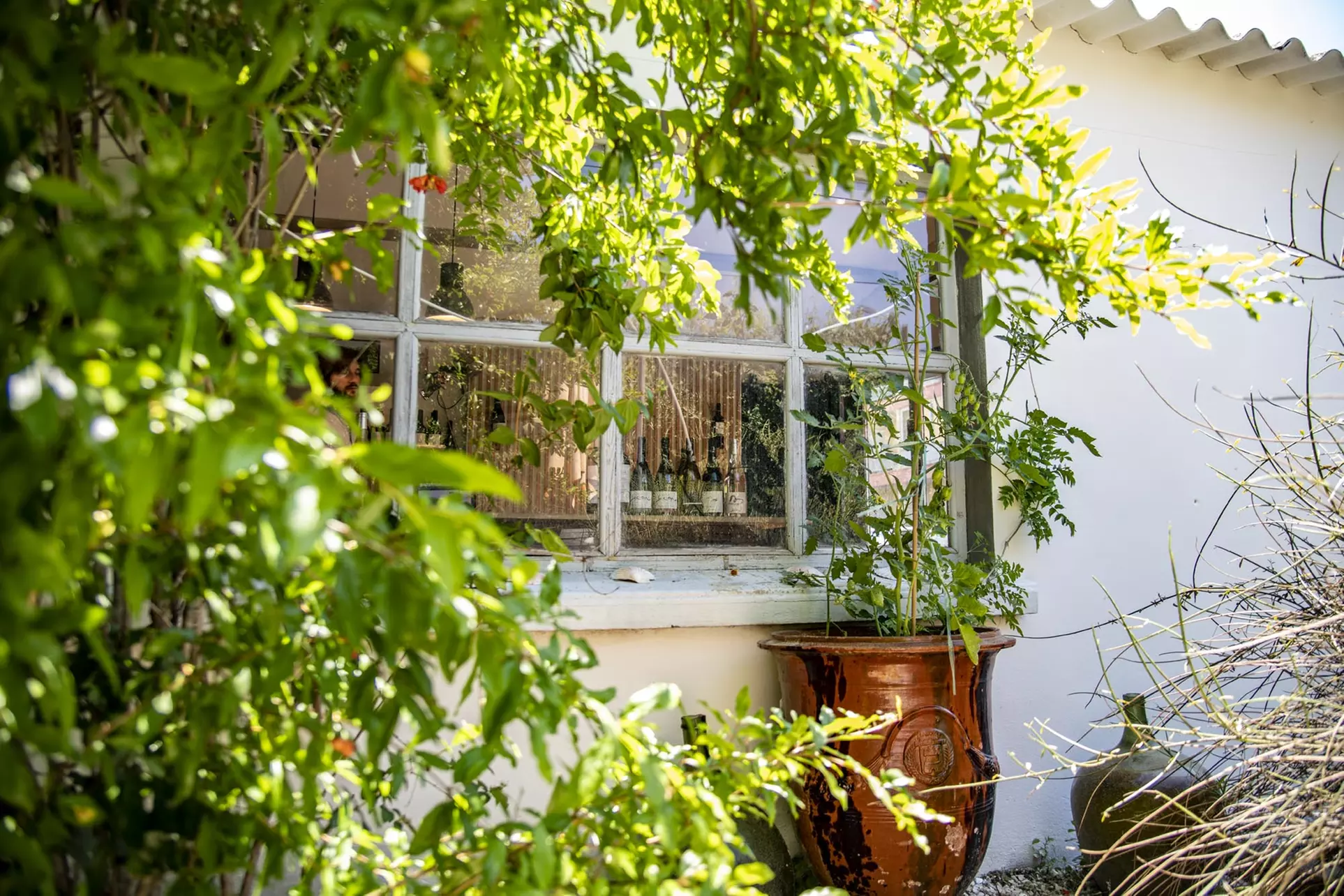 Jusqu'à 65% de remise sur Dégustation - Vins chez Clos Sorian