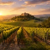 Image 2: Self-Paced Wine Foundations Course - Decatur