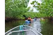 Explore Sarasota's Waters: Guided Clear Kayak Tours for Unforgettable Wildlife Encounters - Second Medium
