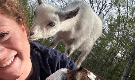 Goat Walk, Snuggles & Treats at Little Burg Farm for 2 People - Little Burg Farm Phippsburg, ME