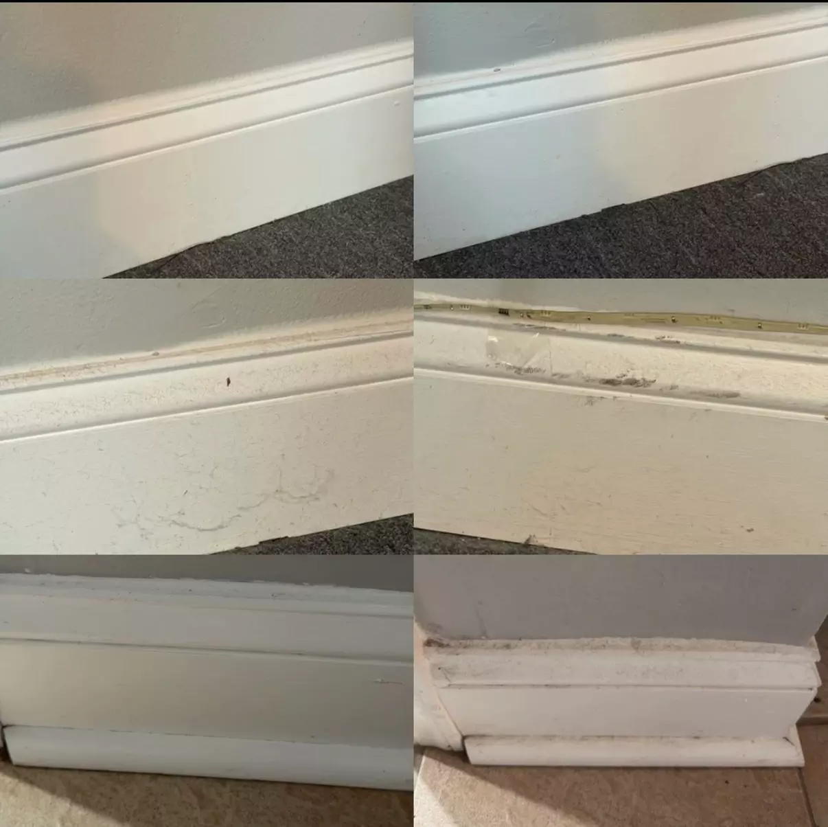 Transform Your Space With Holiday Special Cleaning