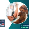 Image 1: Up to 67% Off on Online Pet Grooming Course at Training Express