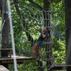 Image 3: Experience the High Ropes with Adults and Child Admissions 