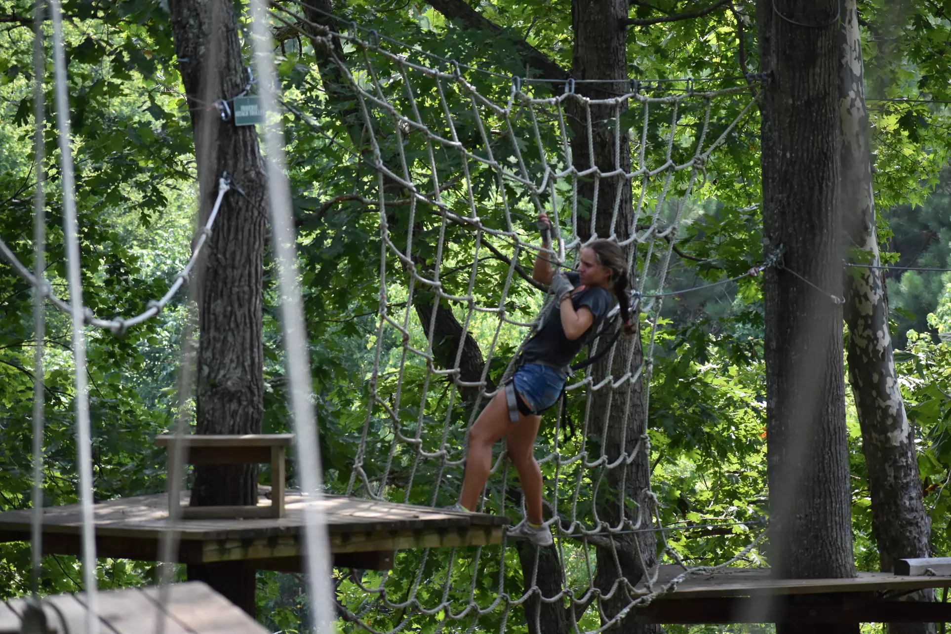 Experience the High Ropes with Adults and Child Admissions 