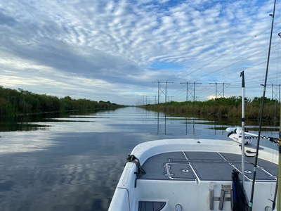 Bass Fishing Charter for 4 Hours up to 3 People - Swamp Dog Tours