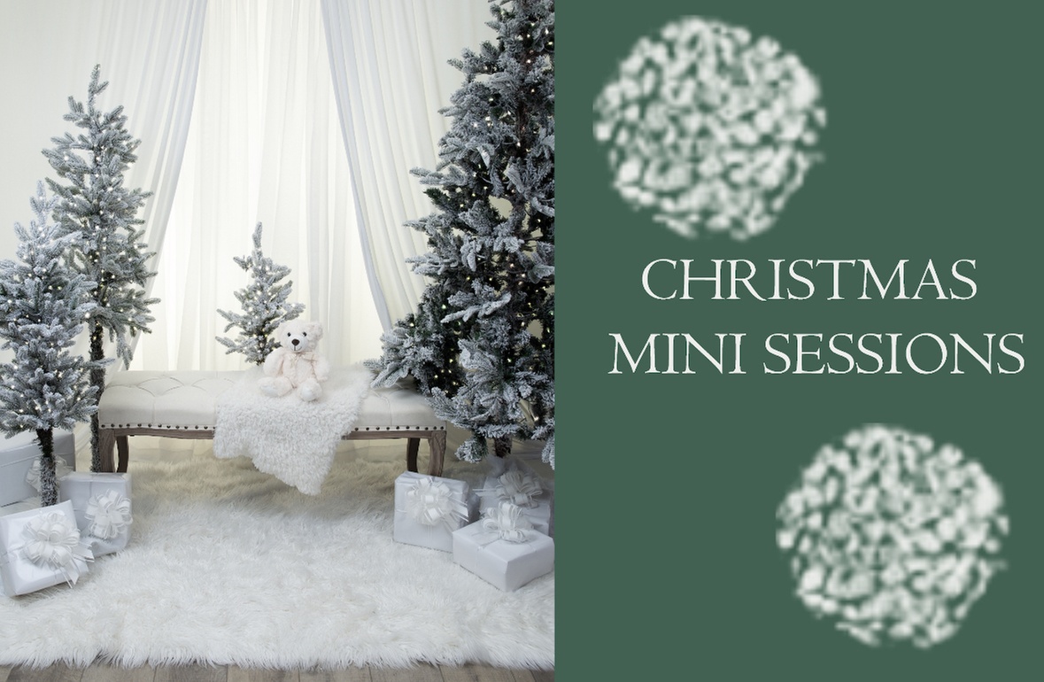 Create with Holiday Christmas Mini Session Studio Photography