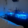 Image 2: Up to 50% Off on Brazilian / Bikini Waxing at Meraki by Missie