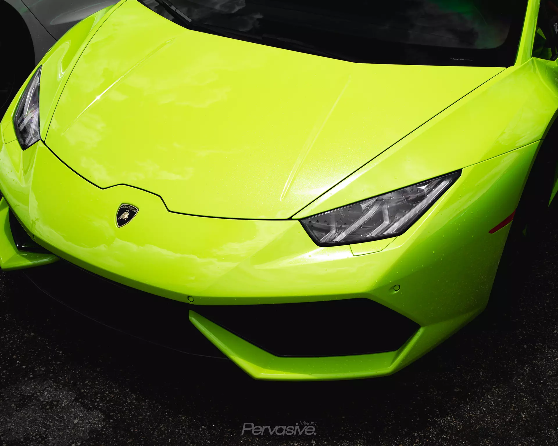 Complete Interior & Exterior Detail + 90% Off Diagnostics 