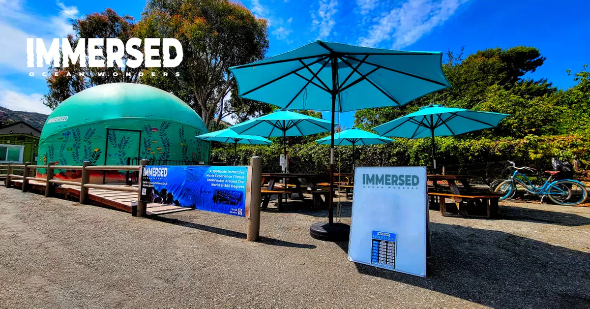 The Stellars 360 Movie Experience at IMMERSED