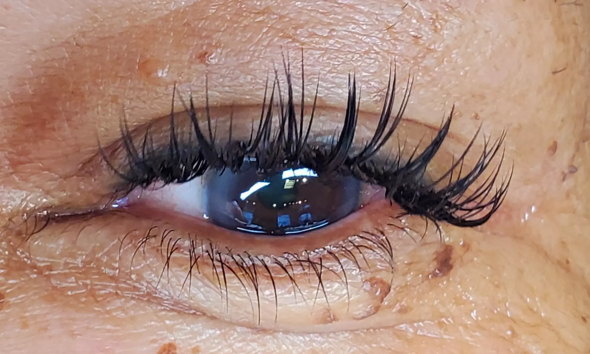 Up to 50% Off on Eyelash Extensions at MsProperLash