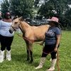 Image 10: Beginner Cowboy/Cowgirl Experience for Groups