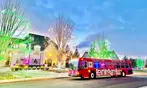 Magical Holiday Lights Tour For 1, 2, or 4 for a Dazzling Night Out