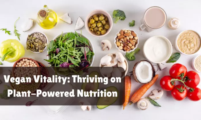 Learn Balanced Eating w/ Nutritional Mastery Program or Vegan Vitality at Khan Education (Up to 60% Off) - Second Medium
